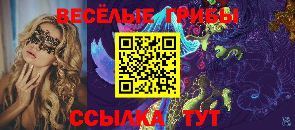 Псилоцибиновые грибы GOLDEN TEACHER Дедовск